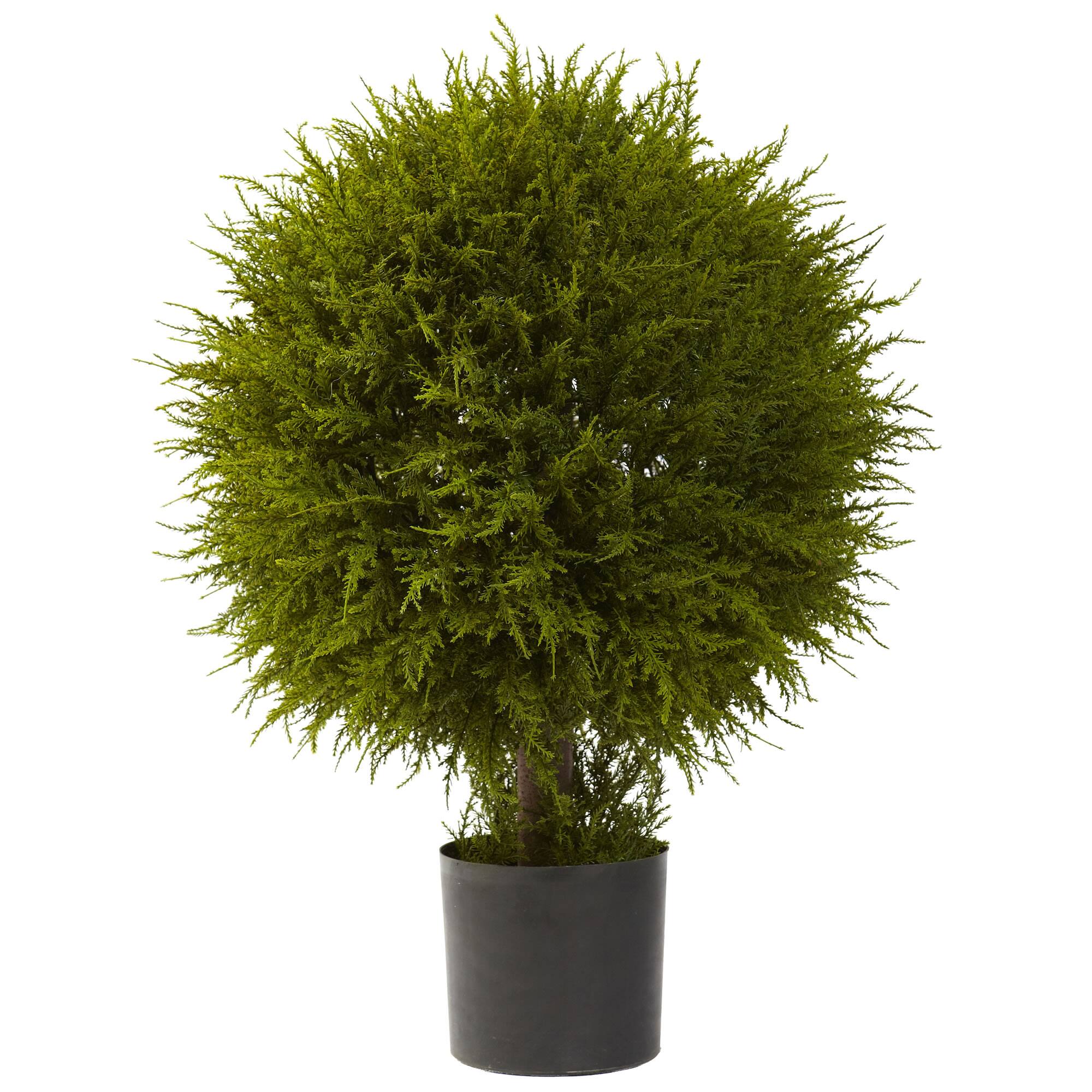 2.5ft. Potted Cedar Ball Topiary